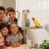 Large Suction Cup Bird Perch and Swing Toy view 2