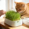 Soil-Free Cat Grass Planter with Catnip Seeds view 3