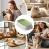 Soil-Free Cat Grass Planter with Catnip Seeds view 4