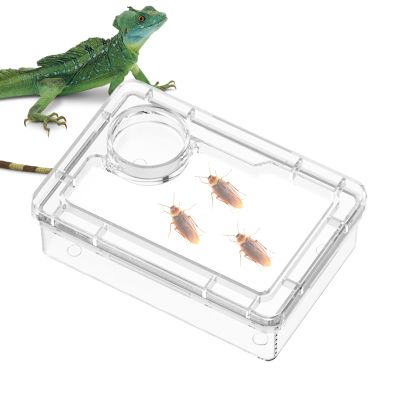 Escape-Proof Turtle Water Bowl, Reptile Dish and Amphibian Accessory for Chameleon Cages, Enclosures and Habitats