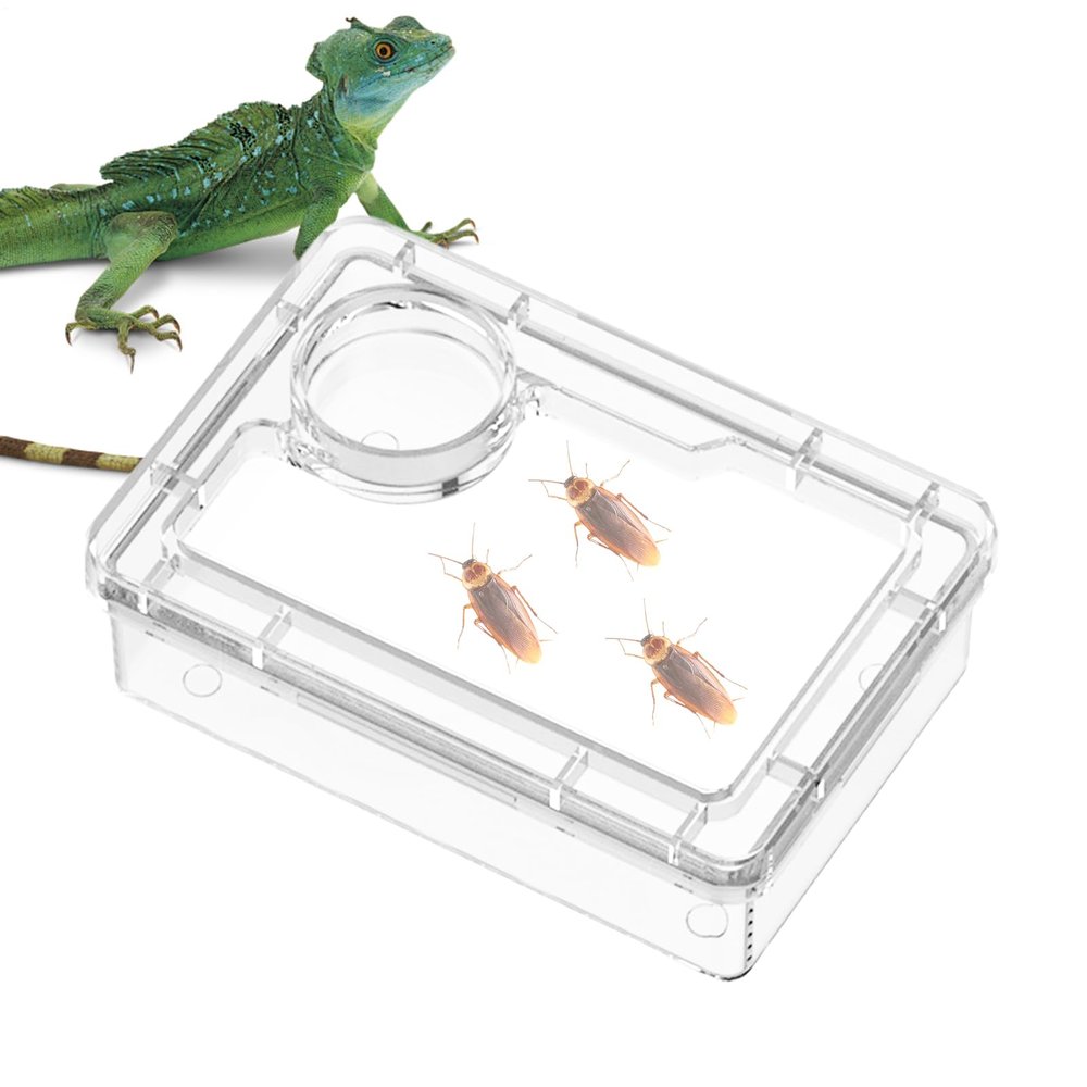 Escape-Proof Turtle Water Bowl, Reptile Dish and Amphibian Accessory for Chameleon Cages, Enclosures and Habitats