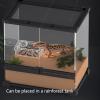 Escape-Proof Turtle Water Bowl, Reptile Dish and Amphibian Accessory for Chameleon Cages, Enclosures and Habitats view 2