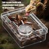 Escape-Proof Turtle Water Bowl, Reptile Dish and Amphibian Accessory for Chameleon Cages, Enclosures and Habitats view 3