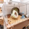 Soft Hamster Hammock Pet House with Hooks view 2