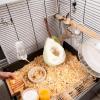 Soft Hamster Hammock Pet House with Hooks view 3