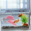 Betta Hammock - Heart-Shaped Leaf view 3