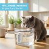 16-Pack Cat Water Fountain Filters view 4