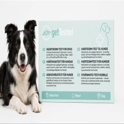 getTested Heartworm Test for Dogs
