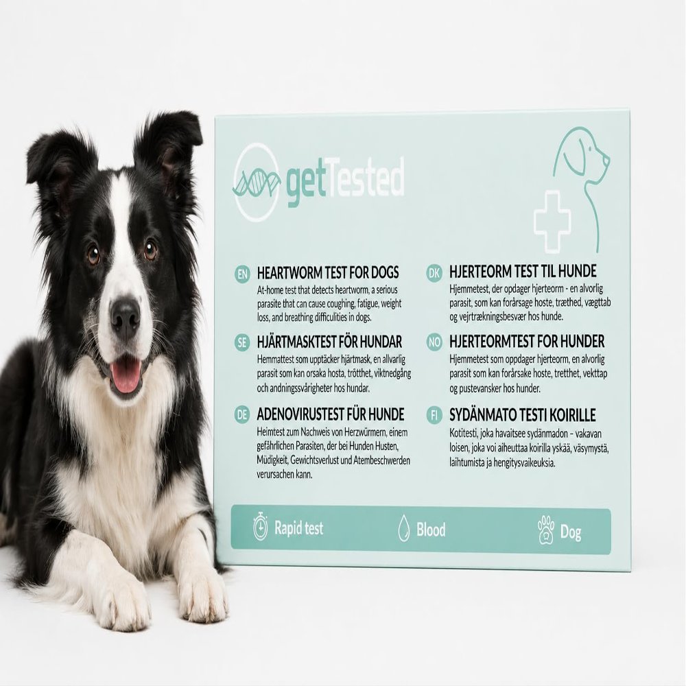 getTested Heartworm Test for Dogs