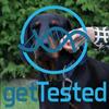 getTested Heartworm Test for Dogs view 4