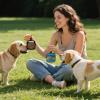 Generic Training Treat Pouch for Dogs – Portable Storage view 2