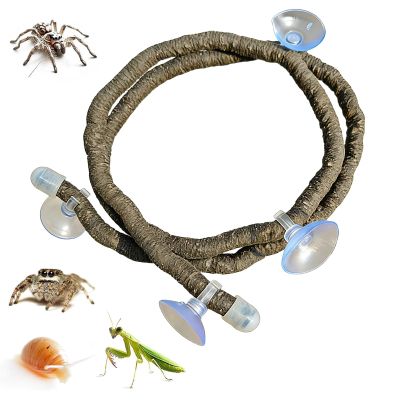 Generic Reptile Climbing Plants for Terrarium