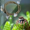 Generic Reptile Climbing Plants for Terrarium view 3