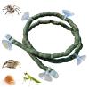 Generic Terrarium Climbing Plants view 1