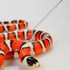 YARNOW Stainless Steel Reptile Grabber with Folding Snake Hook and Telescopic Handle view 4