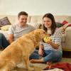 Chew Dog Toys - Plush Rolling Ball view 3