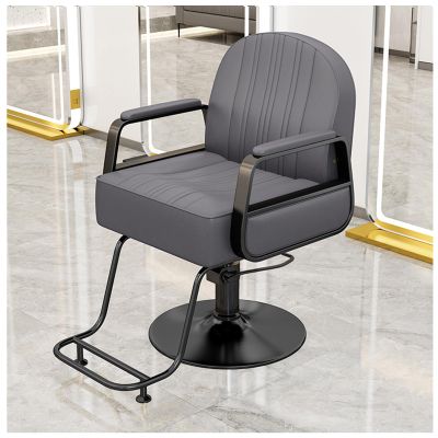 YADZISW Salon Chair for Hairdressers, Stylist Chair with Heavy-Duty Hydraulic Pump, 360° Rotation, Gray, C