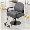 YADZISW Salon Chair for Hairdressers, Stylist Chair with Heavy-Duty Hydraulic Pump, 360° Rotation, Gray, C view 1