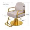 YADZISW Salon Chair for Hairdressers, Stylist Chair with Heavy-Duty Hydraulic Pump, 360° Rotation, Gray, C view 2
