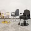 YADZISW Salon Chair for Hairdressers, Stylist Chair with Heavy-Duty Hydraulic Pump, 360° Rotation, Gray, C view 3