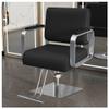 YADZISW Barber Chair for Hairdressers, with Hydraulic Pump, 360° Swivel, Multifunctional Styling, Spa, Shampoo, Tattoo, B, Silver Square view 1