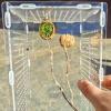 Magnetic Walnut Habitat for Spring Spiders view 3