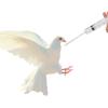 Kichvoe Precision Hand-Feeding Plastic Syringes, 4-Pack, Leak-Resistant Design for Birds and Young Animals view 4