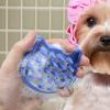 Dog Grooming Brush & Massage Wash Brush view 2
