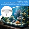 Generic Aquarium Cave, Stable Two-Entrance Tunnel view 3