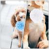 Happyyami 10-Pack Colorful Polyester Flower Collars for Small Dogs and Puppies, Random Colors view 4