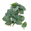 Alomejor Artificial Reptile Decorative Leaves, 24.9 cm Simulated Rattan view 4