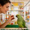 Generic Bird Toy - Small Animal Movement Accessory view 2