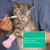 Naroote Scratch-Resistant Cat Paw Protectors view 2