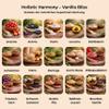 Sunrise361 Holistic Harmony Vanilla Bliss Vegan Superfood Smoothie Blend with Acerola, Maca, Moringa, Lion’s Mane & Reishi, No Added Sugar, 250 g view 2
