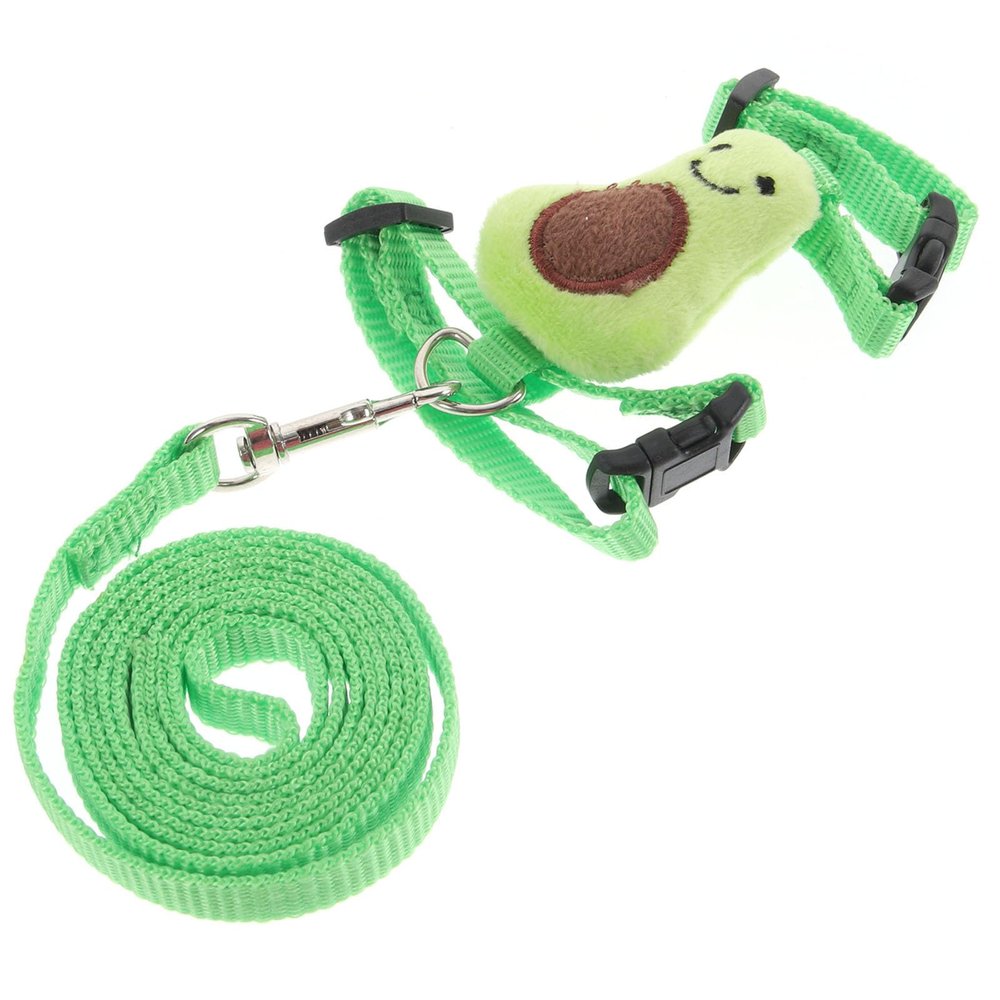 GALPADA Cute Adjustable Nylon Harness and Leash Set for Small Pets