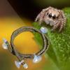 Generic Reptile Climbing Plants for Terrarium view 3