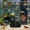 Wpsagek Fish Cave | Porous Dome Underwater Hideout view 2