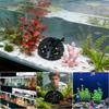 Wpsagek Fish Cave | Porous Dome Underwater Hideout view 4