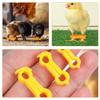 KHBUAB Chick Leg Braces for Correcting Splayed Legs - 15 Pieces view 3