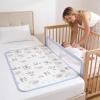 Large Washable, Waterproof, Soft Changing Pad Insert Mat view 3
