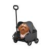 Foldable Outdoor Pet Stroller and Carrier for Puppies and Kittens view 1