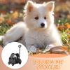 Foldable Outdoor Pet Stroller and Carrier for Puppies and Kittens view 2