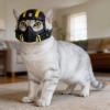 Alomejor Cat Helmet view 2