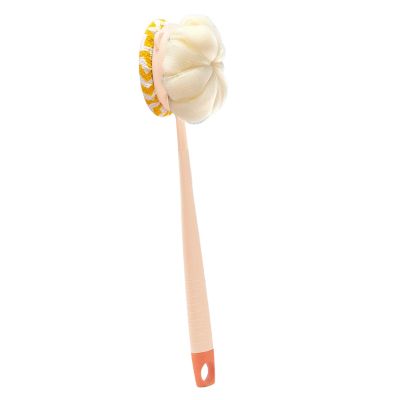 2-in-1 Double-Sided Body Brush with Long Handle