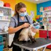 Bavokon Cat Head Cover for Grooming view 2