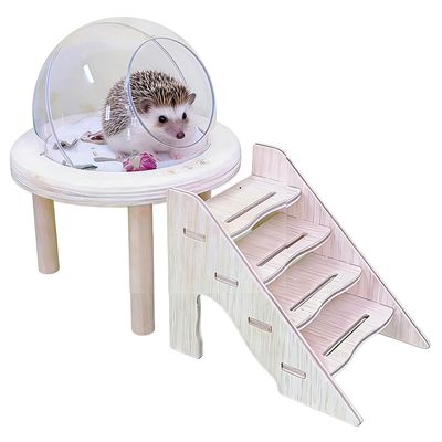 Transparent Hamster Sand Bath Box with Ladder
