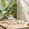 Transparent Hamster Sand Bath Box with Ladder view 2