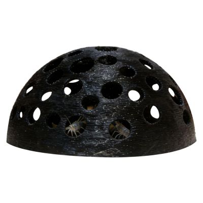 Generic Fish Cave, Porous Dome Underwater Hideout