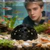 Generic Fish Cave, Porous Dome Underwater Hideout view 3