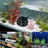 Generic Fish Cave, Porous Dome Underwater Hideout view 4